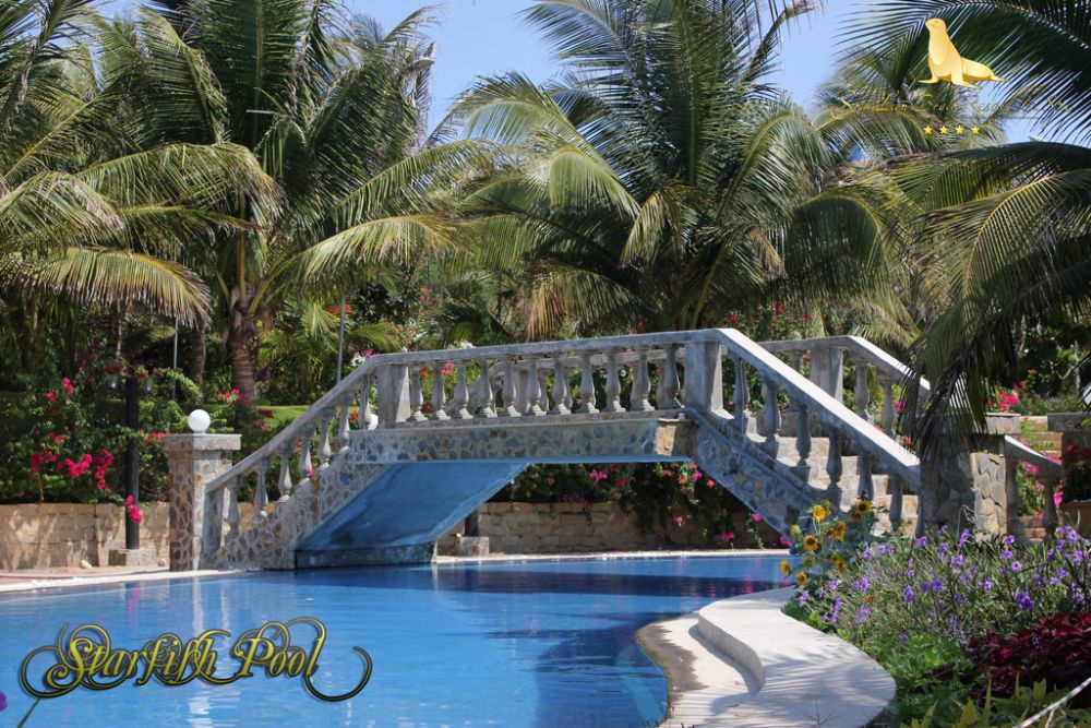 Sea Lion Resort 2, Sea Lion Beach Resort & Spa , Resort Phan Thiết, khach san phan thiet , khách sạn ở  Phan Thiết, sea links beach villas resort in mui ne, khách sạn sea lion mũi né, khach san sea lion resort, resort sea lion ham thuan nam, sea lion resort agoda, sea lion resort tại mũi né, sea lion resort tại mũi né, sea lion resort tại mũi né, khách sạn mũi né , khach san muine , khach san mui ne, khach san phan thiet