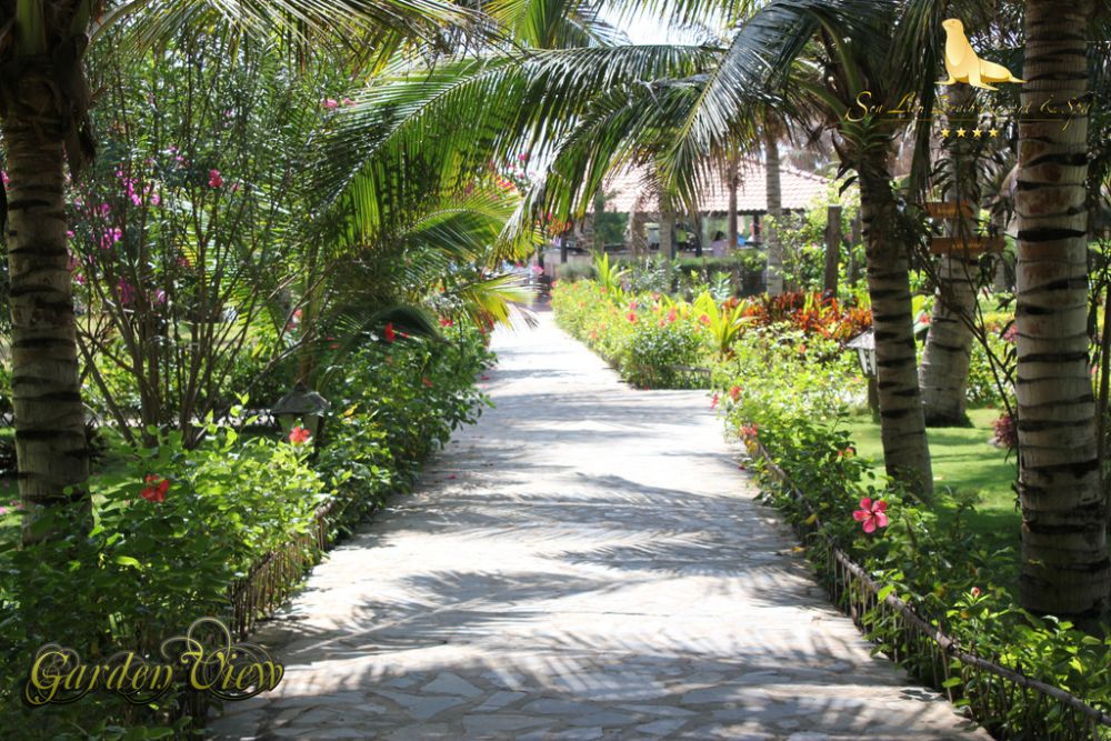 Sea Lion Resort 2, Sea Lion Beach Resort & Spa , Resort Phan Thiết, khach san phan thiet , khách sạn ở  Phan Thiết, sea links beach villas resort in mui ne, khách sạn sea lion mũi né, khach san sea lion resort, resort sea lion ham thuan nam, sea lion resort agoda, sea lion resort tại mũi né, sea lion resort tại mũi né, sea lion resort tại mũi né