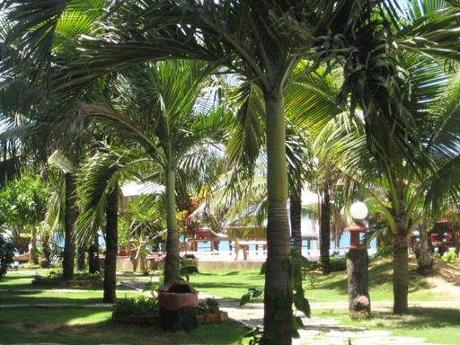 Tiến Phát Beach Resort